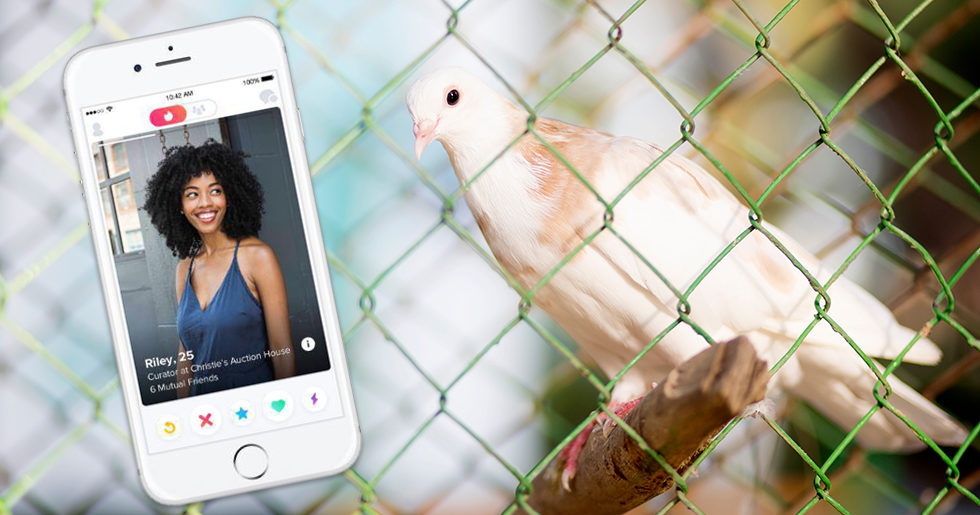en Tinder relation eller koppla