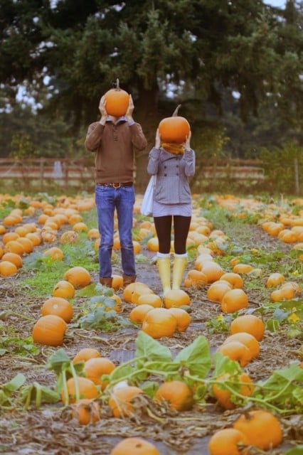 Hur Länge är Det Kvar Till Halloween